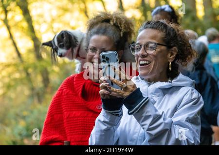 Frauen genießen die atemberaubende Schönheit der Dry Falls in der Nähe von Highlands, North Carolina, an einem wunderschönen Herbsttag, während ein kleiner Hund den Pfad unten studiert. Stockfoto