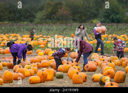 Richmond, Kanada. Oktober 2021. Am 17. Oktober 2021 wählen die Menschen ihre Kürbisse während einer Kürbispflaster-Aktivität auf einer Farm in Richmond, British Columbia, Kanada. Menschen nahmen an der Aktivität Teil, um die Ankunft der Erntezeit zu markieren und das bevorstehende Halloween zu feiern. Quelle: Liang Sen/Xinhua/Alamy Live News Stockfoto