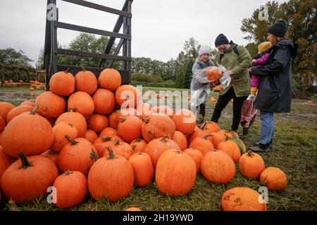 Richmond, Kanada. Oktober 2021. Am 17. Oktober 2021 wählen die Menschen Kürbisse während einer Aktivität auf einer Farm in Richmond, British Columbia, Kanada. Menschen nahmen an der Aktivität Teil, um die Ankunft der Erntezeit zu markieren und das bevorstehende Halloween zu feiern. Quelle: Liang Sen/Xinhua/Alamy Live News Stockfoto