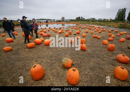 Richmond, Kanada. Oktober 2021. Menschen werden am 17. Oktober 2021 während einer Kürbispflaster-Aktivität auf einer Farm in Richmond, British Columbia, Kanada, gesehen. Menschen nahmen an der Aktivität Teil, um die Ankunft der Erntezeit zu markieren und das bevorstehende Halloween zu feiern. Quelle: Liang Sen/Xinhua/Alamy Live News Stockfoto