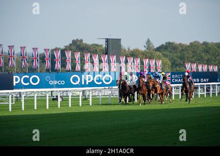 Ascot, Bergen, Großbritannien. Oktober 2021. Die Gruppe 1 QIPCO British Champions Stutfohlen und Mares Stakes (Klasse 1). Quelle: Maureen McLean/Alamy Stockfoto