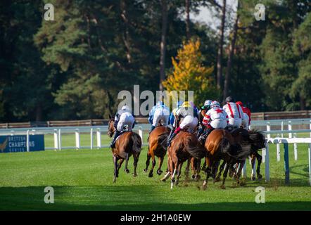 Ascot, Bergen, Großbritannien. Oktober 2021. Die Gruppe 1 QIPCO British Champions Stutfohlen und Mares Stakes (Klasse 1). Quelle: Maureen McLean/Alamy Stockfoto