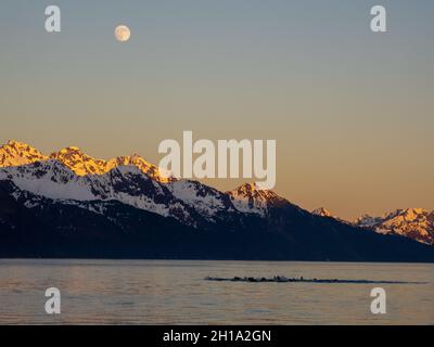 Vollmond in Resurrection Bay, Seward, Alaska. Stockfoto