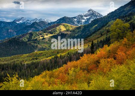 Fall am Cascade Peak und Sundance von Alpine Loop - Wasatch Mountains - Utah Stockfoto