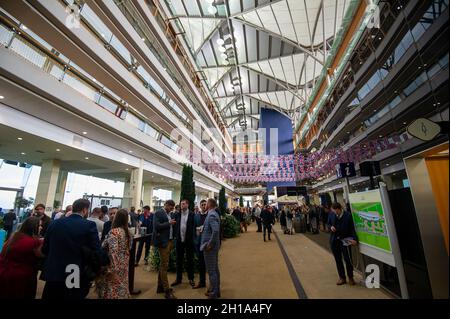 Ascot, Bergen, Großbritannien. Oktober 2021. In der Tribüne am QIPCO British Champions Day. Quelle: Maureen McLean/Alamy Stockfoto