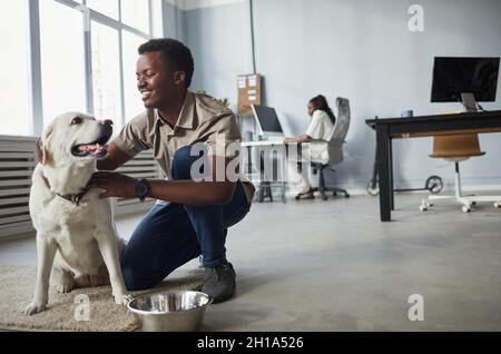 Porträt eines lächelnden afroamerikanischen Mannes, der während der Arbeit im Büro einen Hund streichelt, haustierfreundlicher Arbeitsplatz, Kopierbereich Stockfoto