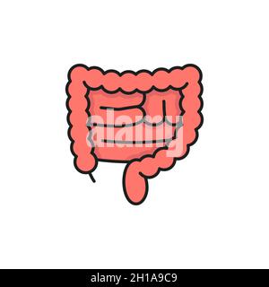 Symbol für isolierte Farblinien des menschlichen Dickdarms. Vektoranatomie, Gesundheitswesen, Medizinkonzept, aktive nützliche Bakterien, gesunder Dickdarm. Verdauungstrakt Stock Vektor