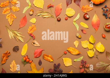 Rahmen aus Herbstblättern und natürlichem Walddekor auf farbigem Hintergrund, Nahaufnahme Stockfoto