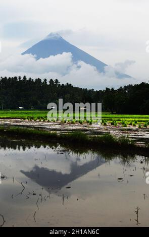 Der Mayon Vulkan mit einem schönen Wolke bedeckte. Stockfoto