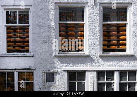 Alte, weiß gestrichene Ziegelfassade eines Ladens in Delft mit gestapelten orange-gelben Käsesorten auf Regalen hinter den Glasfenstern eines Ladens Stockfoto