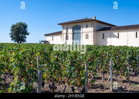 Ein Weinbaugebäude von Château Pétros im AOC Pomerol Stockfoto