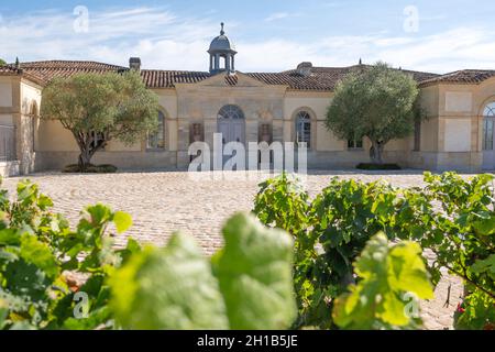 Château Pétros, ein kleines (11,4 ha), aber erstklassiges Weingut in der Appellation Pomerol von Bordeaux, Frankreich Stockfoto