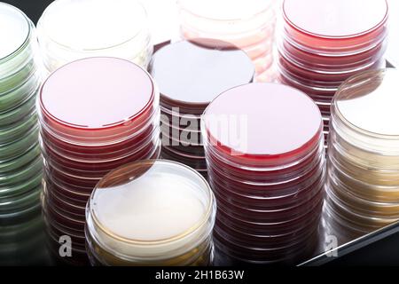 Rote und gelbe Petrischalen stapeln sich im Mikrobiologielabor auf dem Hintergrund des Bakteriologielabors. Stockfoto