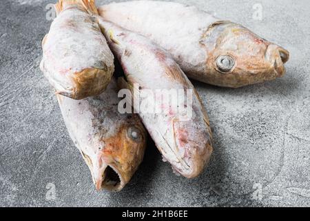 Frozen Goatfish rohes Fischset, auf grauem Steintisch Hintergrund Stockfoto