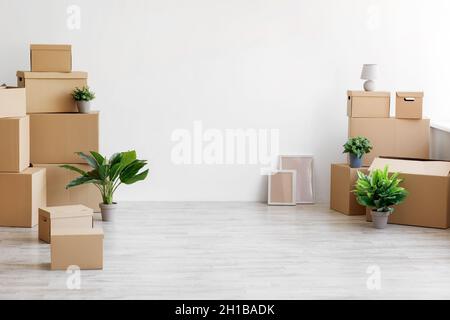 Stapel von verschiedenen Pappkartons mit Sachen und grünen Pflanzen in Töpfen auf dem Boden auf grauem Wandhintergrund Stockfoto