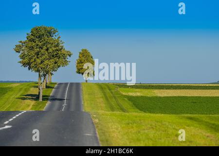 FRANKREICH. MARNE (51) VALLEE DE LA MARNE, LANDSTRASSE Stockfoto