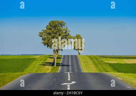 FRANKREICH. MARNE (51) VALLEE DE LA MARNE, LANDSTRASSE Stockfoto
