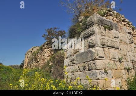 Die Außenmauern der Ruinen der Kreuzritterfestung Chateau Neuf - Metsurat Hunin befinden sich am Eingang zum israelischen Margaliot Dorf im Upp Stockfoto