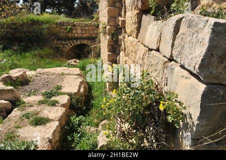 Die Außenmauern der Ruinen der Kreuzritterfestung Chateau Neuf - Metsurat Hunin befinden sich am Eingang zum israelischen Margaliot Dorf im Upp Stockfoto