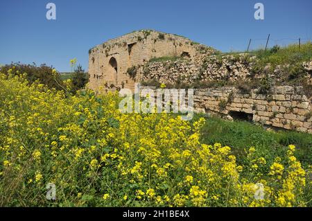 Die Ruinen der Kreuzritterfestung Schloss Neuf - Metsurat Hunin befinden sich am Eingang zum israelischen Dorf Margaliot im Norden von Galilee Stockfoto