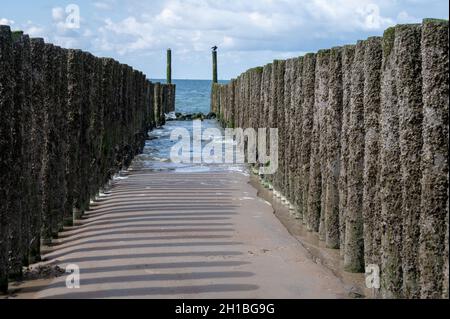 Blick auf Holzpfähle am weißen Sandstrand der Nordsee in der Nähe von Zoutelande, Zeeland, Niederlande bei Ebbe Stockfoto