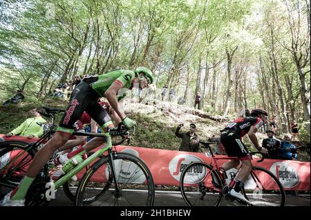 Giro d'Italia Etappe 11 von Florenz nach Bagno di Romagna, Italien. Mai 2017. Joe Dombrowski Stockfoto