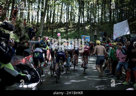 Giro d'Italia Etappe 11 von Florenz nach Bagno di Romagna, Italien. Mai 2017. Stockfoto