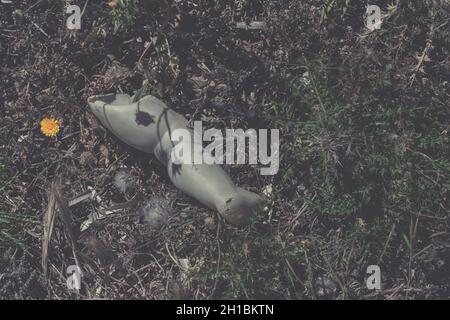 Bein einer verlassenen Kinderpuppe mit blauen Augen im Wald Stockfoto