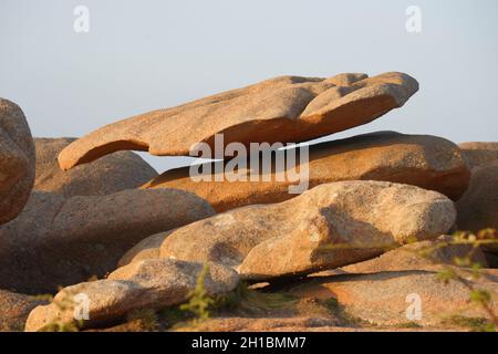 Insel Rénote, in Trégastel (Côte de Granite Rose, Côtes d'Armor, Bretagne, Frankreich). Stockfoto