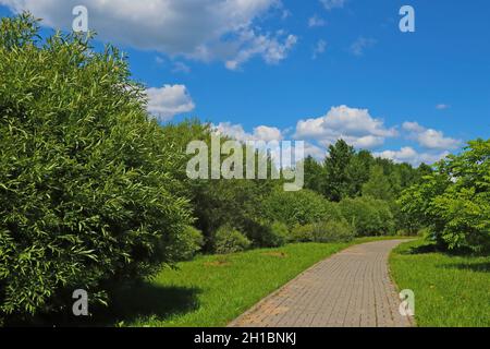 Schöner Wanderweg im Park für einen Spaziergang, außer Fokus Stockfoto