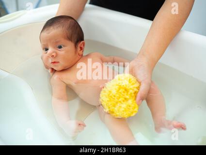 Erstes Bad des neugeborenen Jungen.die Mutter wäscht das Baby mit natürlichem Schwamm. Stockfoto