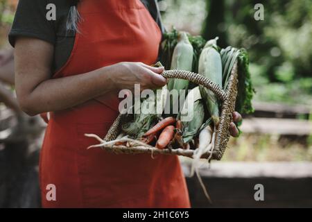 Nicht erkennbare ältere Bäuerin, die Korb mit hausgemachten Gemüse im Freien auf dem Bauernhof trägt. Stockfoto