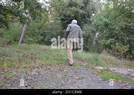 Eichelberg 89 m in Deetz, Brandenburg, Deutschland - 6. Oktober 2021. In der Bronze- und frühen Eisenzeit war auf Eichelberg ein slawischer gord (Burgwall). Stockfoto