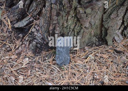 Eichelberg 89 m in Deetz, Brandenburg, Deutschland - 6. Oktober 2021. In der Bronze- und frühen Eisenzeit war auf Eichelberg ein slawischer gord (Burgwall). Stockfoto