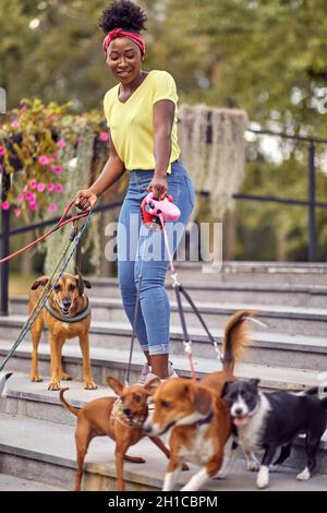 Hunde auf Spaziergang mit Professionelle girl Dog Walker auf der Straße Stockfoto