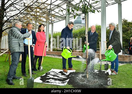 München, Deutschland. 18. Oktober 2021: Von links: Alois GLUECK, Umweltminister Thorsten GLAUBER, Landwirtschaftsministerin Michaela KANIBER, Markus SOEDER (Ministerpräsident Bayern und CSU-Vorsitzender), Norbert Schäfer (Landesverband für Vogelschutz Bayern), Richard MERGNER (Bund Naturschutz Bayern) gießen einen Kirschbaum - eine zuvor gepflanzte Hedelfinger-Riesenkirsche. Pressekonferenz der Bayerischen Staatsregierung zum Thema Ergebnisse nach dem Rundtisch STREUOBST am 18. Oktober 2021 im Hofgarten in München. Quelle: dpa picture Alliance/Alamy Live News Stockfoto