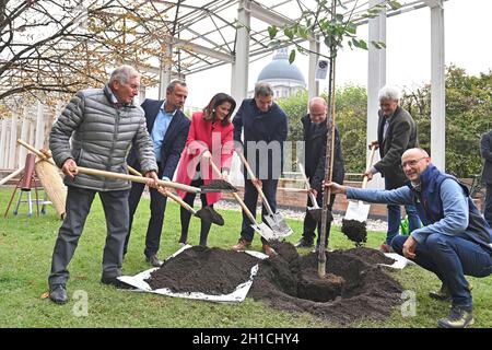 München, Deutschland. 18. Oktober 2021: Von links: Alois GLUECK, Umweltminister Thorsten GLAUBER, Landwirtschaftsministerin Michaela KANIBER, Markus SOEDER (Ministerpräsident Bayern und CSU-Vorsitzender), Norbert Schäfer (Landesverband für Vogelschutz Bayern), Richard MERGNER (Bund Naturschutz Bayern) Pflanzen einen Kirschbaum - eine Hedelfinger-Riesenkirsche. Pressekonferenz der Bayerischen Staatsregierung zum Thema Ergebnisse nach dem Rundtisch STREUOBST am 18. Oktober 2021 im Hofgarten in München. Quelle: dpa picture Alliance/Alamy Live News Stockfoto