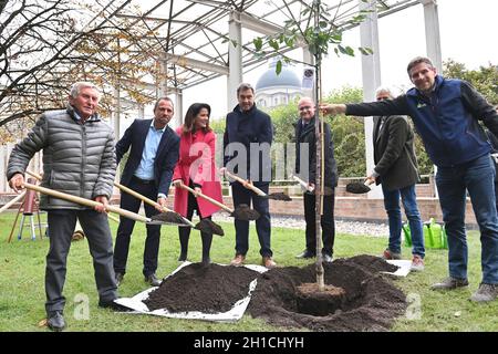 München, Deutschland. 18. Oktober 2021: Von links: Alois GLUECK, Umweltminister Thorsten GLAUBER, Landwirtschaftsministerin Michaela KANIBER, Markus SOEDER (Ministerpräsident Bayern und CSU-Vorsitzender), Norbert Schäfer (Landesverband für Vogelschutz Bayern), Richard MERGNER (Bund Naturschutz Bayern) Pflanzen einen Kirschbaum - eine Hedelfinger-Riesenkirsche. Pressekonferenz der Bayerischen Staatsregierung zum Thema Ergebnisse nach dem Rundtisch STREUOBST am 18. Oktober 2021 im Hofgarten in München. Quelle: dpa picture Alliance/Alamy Live News Stockfoto