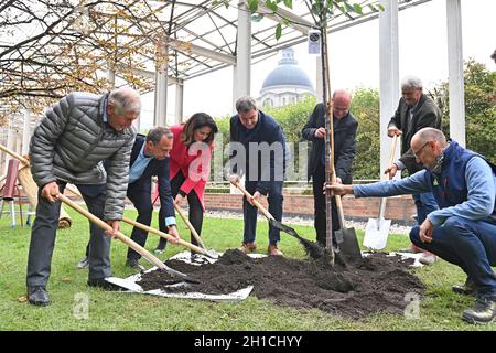 München, Deutschland. 18. Oktober 2021: Von links: Alois GLUECK, Umweltminister Thorsten GLAUBER, Landwirtschaftsministerin Michaela KANIBER, Markus SOEDER (Ministerpräsident Bayern und CSU-Vorsitzender), Norbert Schäfer (Landesverband für Vogelschutz Bayern), Richard MERGNER (Bund Naturschutz Bayern) Pflanzen einen Kirschbaum - eine Hedelfinger-Riesenkirsche. Pressekonferenz der Bayerischen Staatsregierung zum Thema Ergebnisse nach dem Rundtisch STREUOBST am 18. Oktober 2021 im Hofgarten in München. Quelle: dpa picture Alliance/Alamy Live News Stockfoto