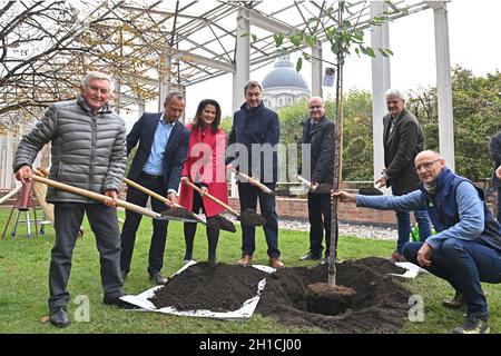 München, Deutschland. 18. Oktober 2021: Von links: Alois GLUECK, Umweltminister Thorsten GLAUBER, Landwirtschaftsministerin Michaela KANIBER, Markus SOEDER (Ministerpräsident Bayern und CSU-Vorsitzender), Norbert Schäfer (Landesverband für Vogelschutz Bayern), Richard MERGNER (Bund Naturschutz Bayern) Pflanzen einen Kirschbaum - eine Hedelfinger-Riesenkirsche. Pressekonferenz der Bayerischen Staatsregierung zum Thema Ergebnisse nach dem Rundtisch STREUOBST am 18. Oktober 2021 im Hofgarten in München. Quelle: dpa picture Alliance/Alamy Live News Stockfoto