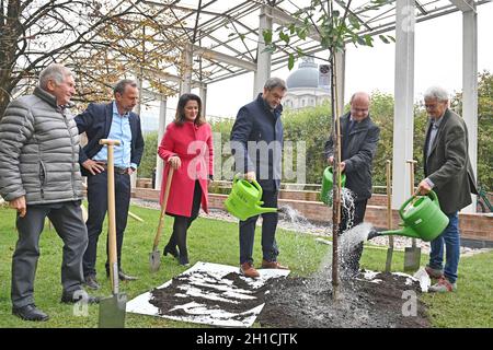 Von links: Alois GLUECK, Umweltminister Thorsten GLAUBER, Landwirtschaftsministerin Michaela KANIBER, Markus SOEDER (Ministerpräsident Bayern und CSU-Vorsitzender), Norbert Schäfer (Landesverband für Vogelschutz Bayern), Richard MERGNER (Bund Naturschutz Bayern) gießen einen Kirschbaum - eine zuvor gepflanzte Hedelfinger-Riesenkirsche. Pressekonferenz der Bayerischen Staatsregierung zum Thema Ergebnisse nach dem Rundtisch STREUOBST am 18. Oktober 2021 im Hofgarten in München. Stockfoto