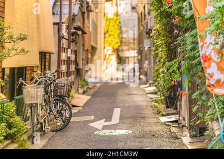 Wände mit Laub und Bignoniaceae Blumen Horn Trompete Rebe in einer kleinen Gasse neben der Kanda Station an der Yamanote Linie bedeckt. Die Straße Stockfoto