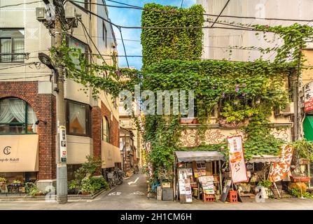 Wände mit Laub und Bignoniaceae Blumen Horn Trompete Rebe in einer kleinen Gasse neben der Kanda Station an der Yamanote Linie bedeckt. Die Straße Stockfoto