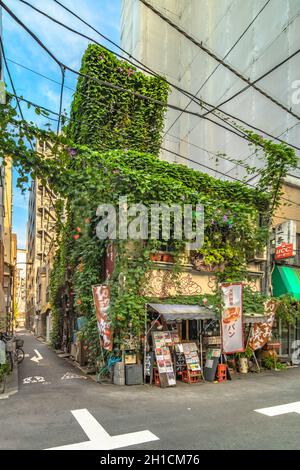 Wände mit Laub und Bignoniaceae Blumen Horn Trompete Rebe in einer kleinen Gasse neben der Kanda Station an der Yamanote Linie bedeckt. Die Straße Stockfoto