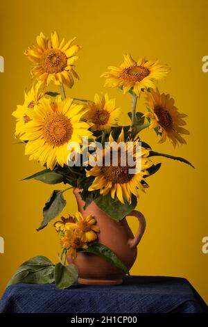 Stillleben. Wunderschöne Sonnenblumen in Keramikkrug auf gelbem Hintergrund Stockfoto