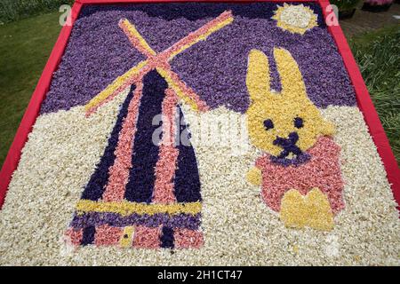 Noordwijkerhout, Niederlande - 23 April, 2017: Traditionelle Windmühle und Osterhasen aus Hyazinthen im traditionellen Blumen parade Bloemencors Stockfoto