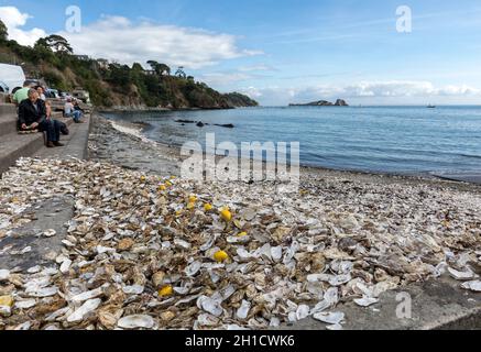 Cancale, Frankreich - 15. September 2018: Tausende von leeren Schalen von gegessen Austern auf Meeresboden in Cancale, berühmt für Auster Betriebe verworfen. Bretagne Stockfoto