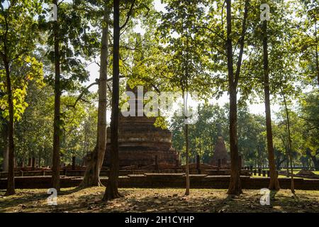 Die Ruinen des Wat Phra Kaeo im Historischen Park der Stadt Kamphaeng Phet in der Provinz Kamphaeng Phet in Nord-Thailand. Thailand, K. Stockfoto