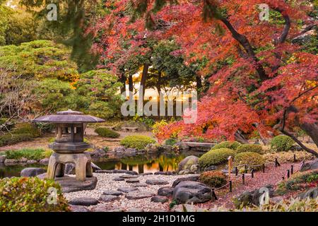 Tokyo Metropolitan Park KyuFurukawa der japanischen Garten Yukimi Laterne aus Stein mit Blick auf die Red maple momiji Blätter im Herbst. Stockfoto