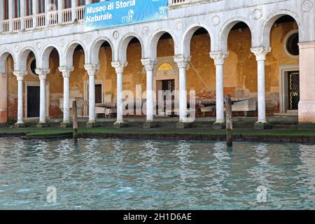 Venedig, Italien - 19. Dezember 2012: Museum für Naturgeschichte am Canal Grande in Venedig, Italien. Stockfoto